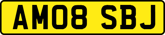 AM08SBJ