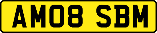 AM08SBM
