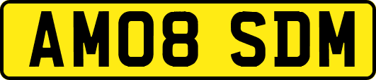 AM08SDM