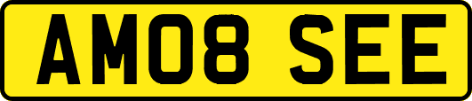 AM08SEE