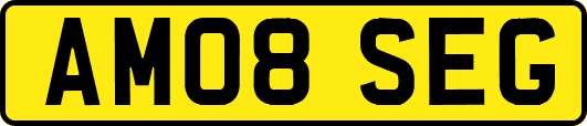 AM08SEG
