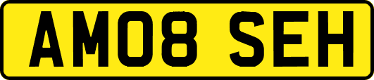 AM08SEH