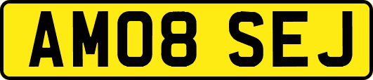 AM08SEJ