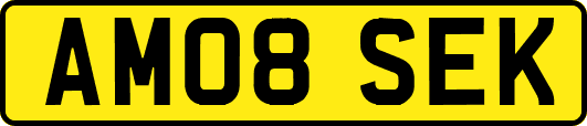 AM08SEK