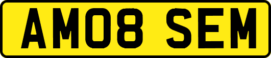 AM08SEM