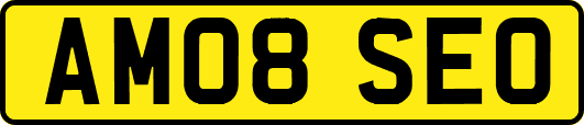 AM08SEO