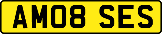 AM08SES