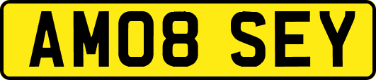 AM08SEY