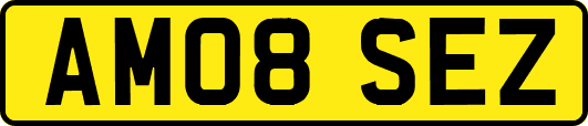 AM08SEZ