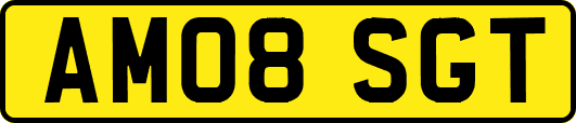 AM08SGT