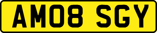 AM08SGY