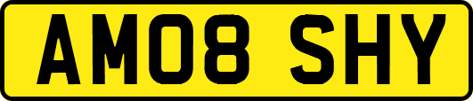 AM08SHY