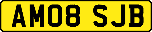 AM08SJB