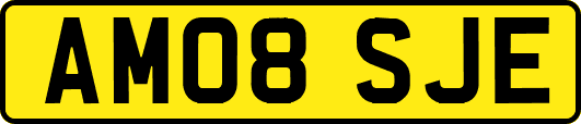 AM08SJE