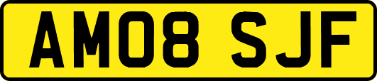 AM08SJF