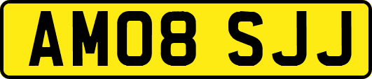 AM08SJJ