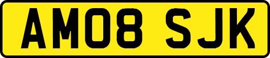 AM08SJK