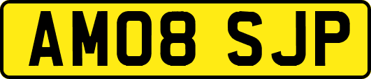 AM08SJP