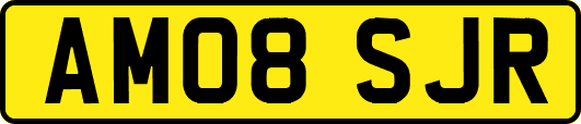 AM08SJR