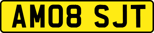 AM08SJT
