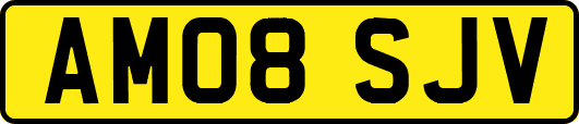 AM08SJV