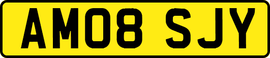 AM08SJY