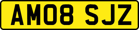 AM08SJZ