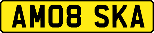 AM08SKA