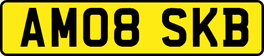 AM08SKB