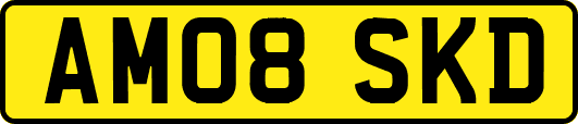 AM08SKD