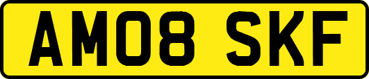 AM08SKF