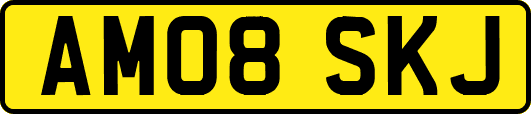 AM08SKJ