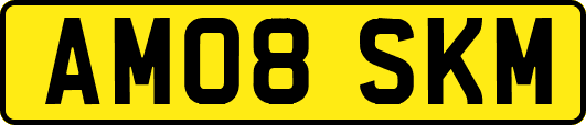 AM08SKM