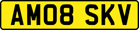 AM08SKV
