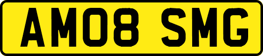 AM08SMG
