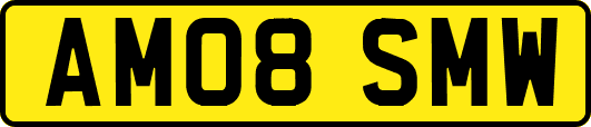 AM08SMW