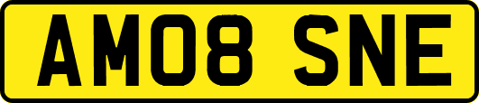 AM08SNE
