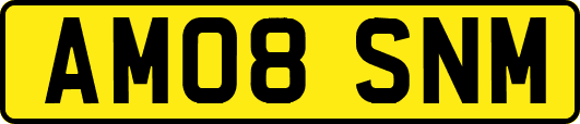 AM08SNM