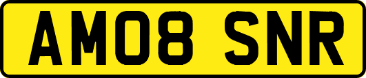 AM08SNR