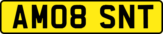 AM08SNT