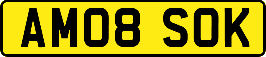 AM08SOK