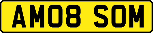AM08SOM