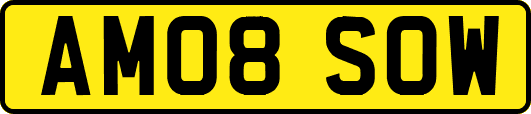 AM08SOW