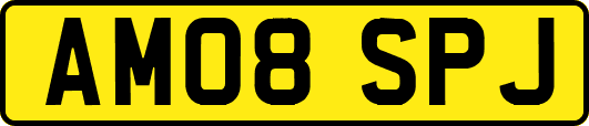 AM08SPJ