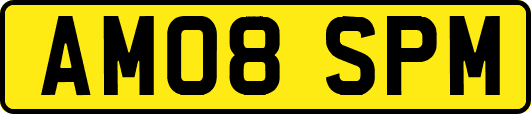 AM08SPM