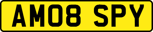 AM08SPY