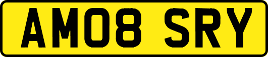 AM08SRY