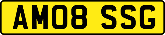 AM08SSG