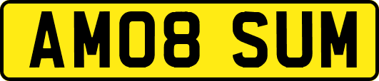 AM08SUM