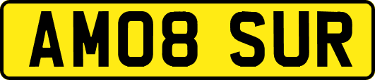 AM08SUR